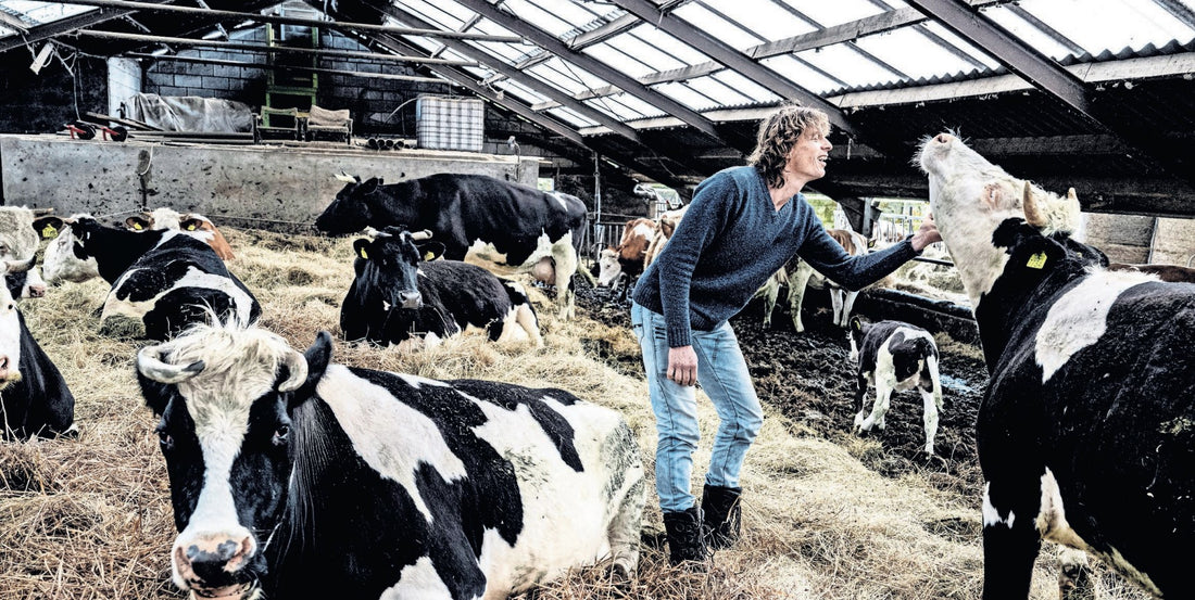 Biodynamisch boer Gerjo Koskamp is juist zuinig op zijn mest