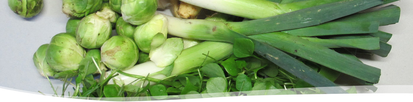 groentepakket-Tuinderij Ruimzicht