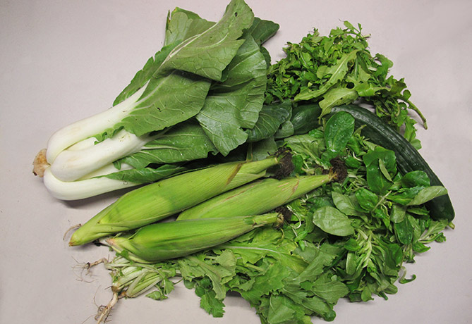 groentepakket-sept-03-Tuinderij Ruimzicht