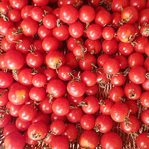 cherrytomaten_BD Boerderij-Ruimzicht