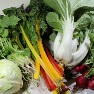 groentepakket-biologisch_BD Boerderij Ruimzicht