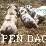 open-dag-Boerderij Ruimzicht- za 25 sept 2021-
